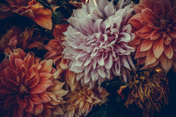 Scopri le soluzioni imperdibili per una cucina esteticamente perfetta e funzionalmente efficiente!